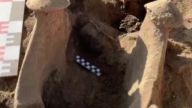 Elazığ'da Tadım Kalesi ve Höyüğü'nde yaklaşık 6 bin yıllık buluntular gün yüzüne çıkarıldı