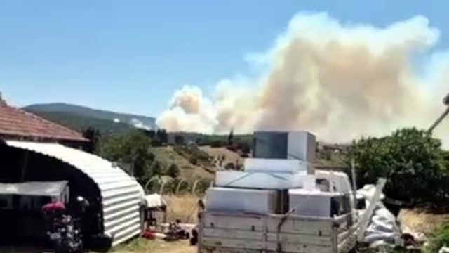 Kocaeli'de orman yangını