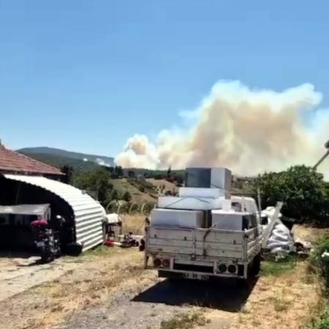 Kocaeli'de orman yangını