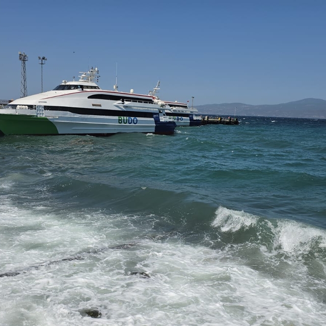 Bursa Deniz Otobüslerinin 10 seferi iptal edildi