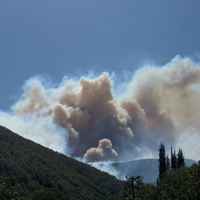Kocaeli'de çıkan orman yangınına müdahale ediliyor