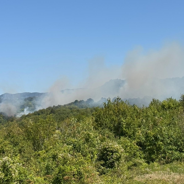 Bartın'da ormanlık alanda çıkan yangına müdahale ediliyor