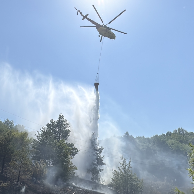 Bolu'da ormanlık alanda çıkan yangın söndürüldü