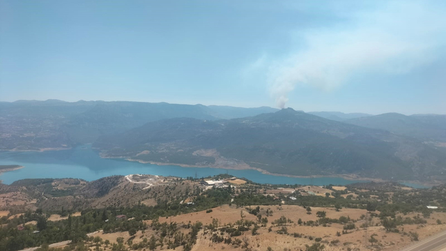 Karaman'da orman yangını