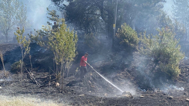 Bolu'da orman yangını, kısa sürede kontrol altına alındı