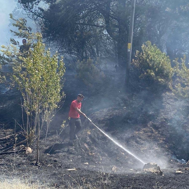 Bolu'da orman yangını, kısa sürede kontrol altına alındı