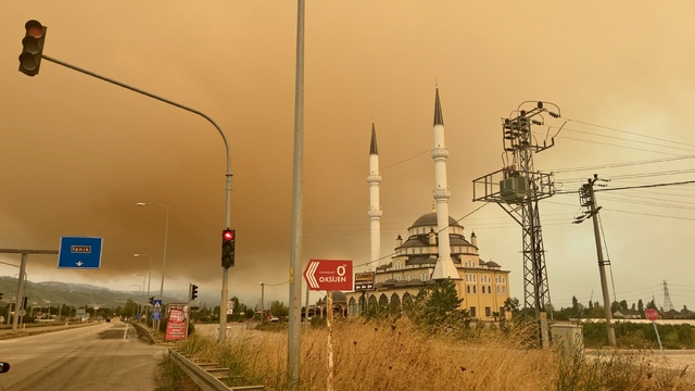 Kocaeli'deki orman yangınının neden olduğu duman Bursa'ya ulaştı