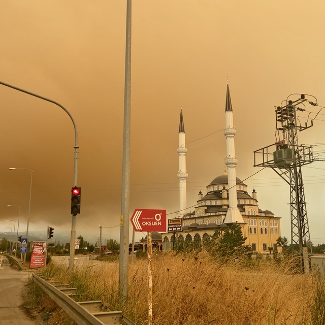 Kocaeli'deki orman yangınının neden olduğu duman Bursa'ya ulaştı