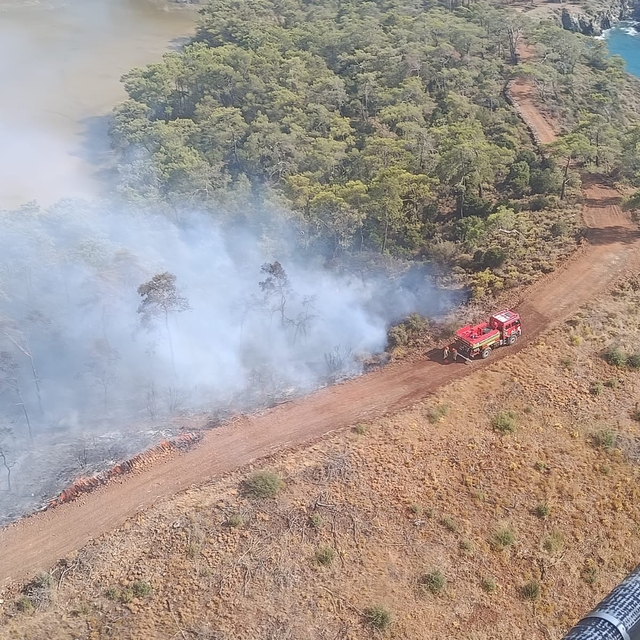 Fethiye'de orman yangını çıktı