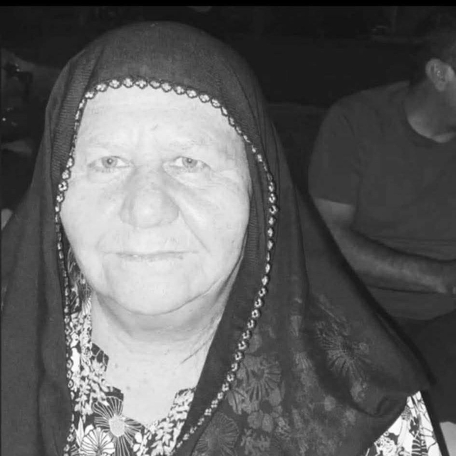 Mardin'de otomobilin çarptığı kadın, öldü (2)