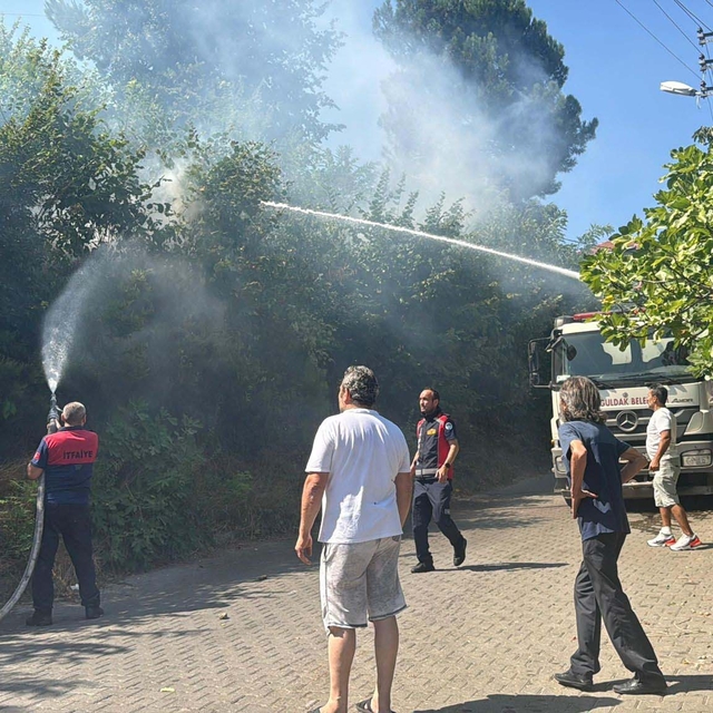Zonguldak'ta ağaçlık alanda çıkan yangın söndürüldü