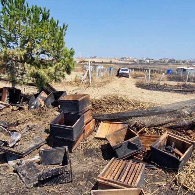 Anız yangınında 150 arı kovanı zarar gördü