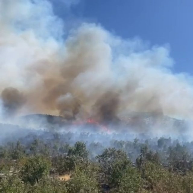 Diyarbakır'da 3 noktada örtü yangını