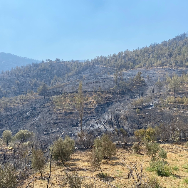 Mersin'in 2 ilçesindeki orman yangınları kontrol altına alındı (3)