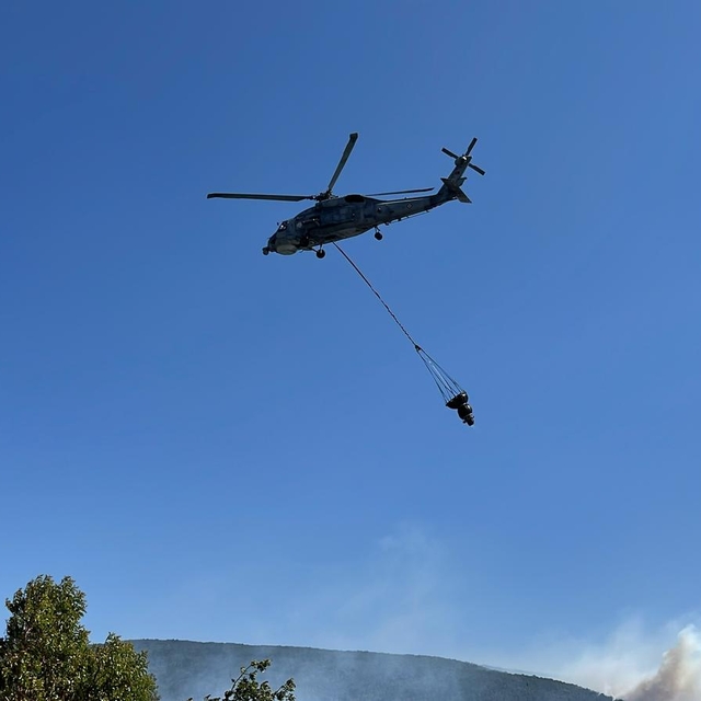 Kocaeli'de orman yangını (2)