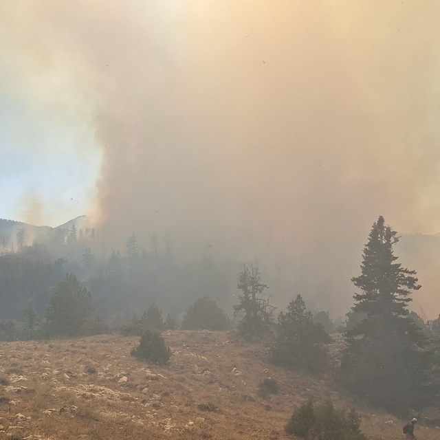 Karaman'da 2 farklı noktada çıkan orman yangınına müdahale ediliyor