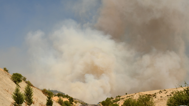 Adıyaman'da ormanlık alanda çıkan yangına müdahale ediliyor