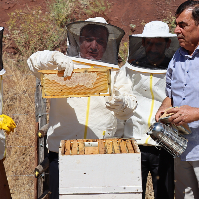 "Erzincan geven balı"nın hasadı yapıldı