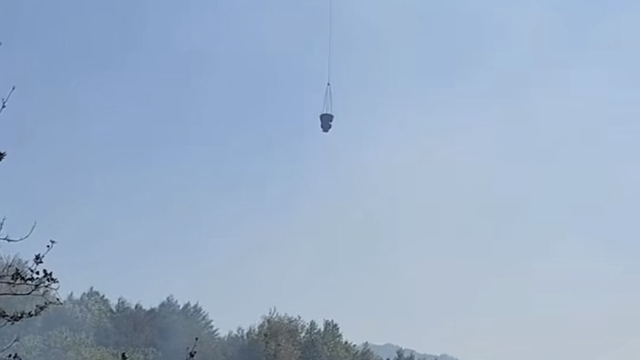 Bartın'da orman yangını (2)