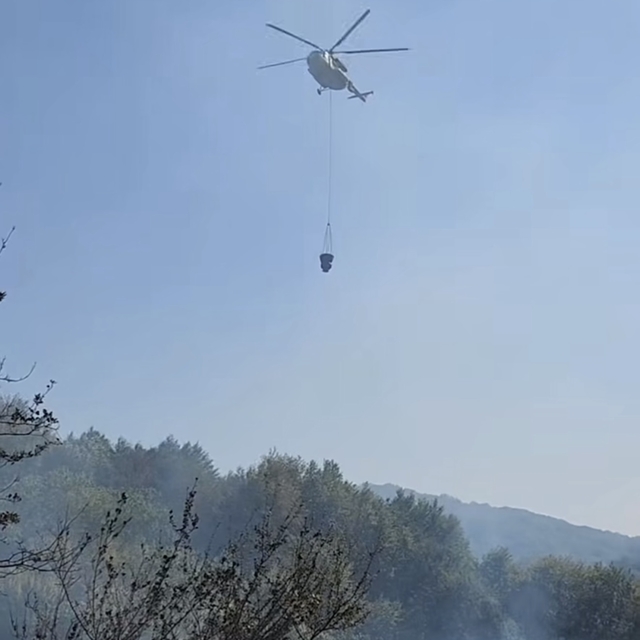 Bartın'da orman yangını (2)