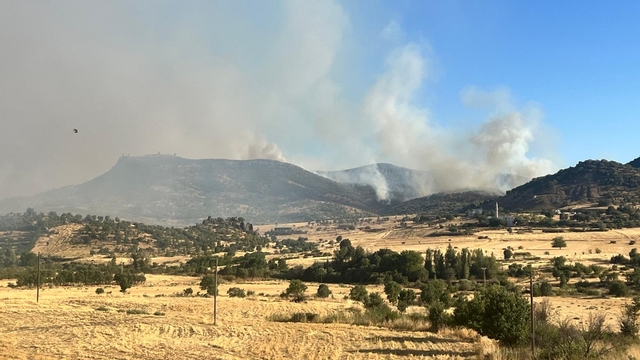 Diyarbakır'ın iki ilçesinde ormanlık alanda çıkan yangınlara müdahale ediliyor
