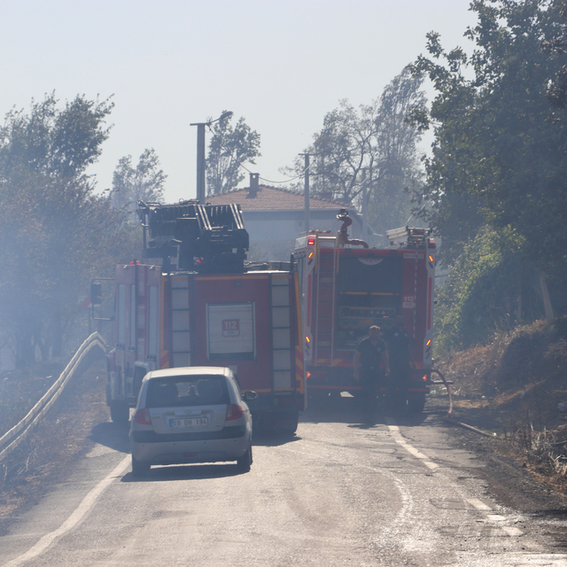 Tekirdağ'da anızda çıkıp ağaçlık alana sıçrayan yangın söndürüldü