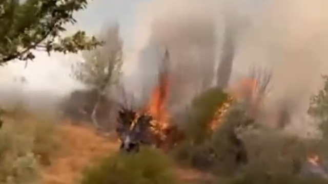 Sivas'ta maki yangını büyümeden söndürüldü