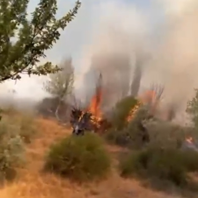 Sivas'ta maki yangını büyümeden söndürüldü