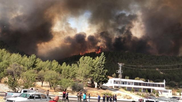 Adıyaman'da orman yangınına havadan ve karadan müdahale