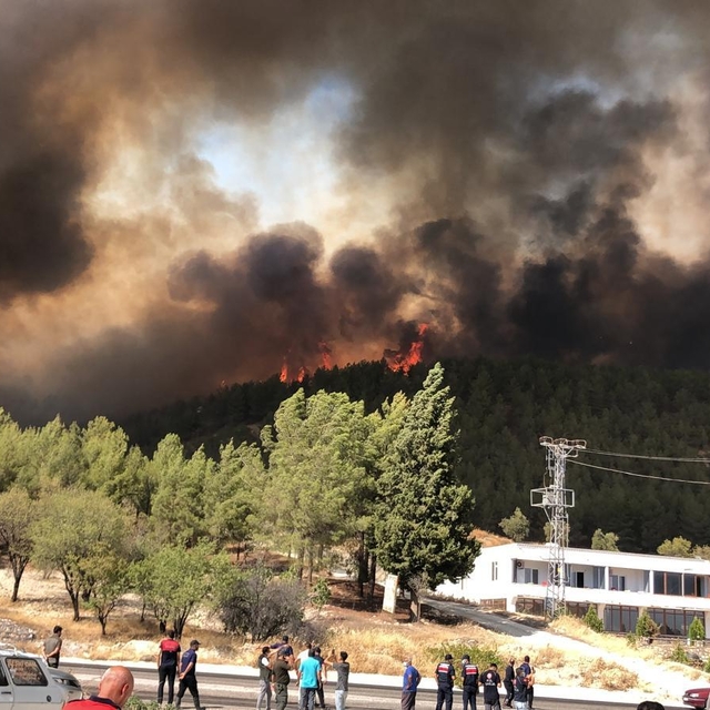 Adıyaman'da orman yangınına havadan ve karadan müdahale