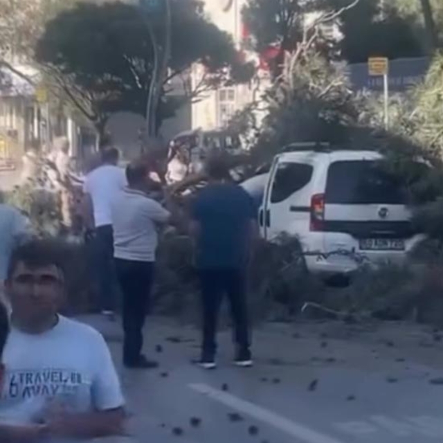 Rüzgar nedeniyle devrilen ağaç, hafif ticari aracın üzerine düştü