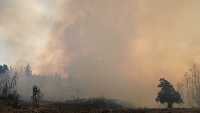 Karaman'da orman yangını (2)
