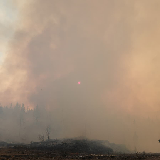 Karaman'da orman yangını (2)