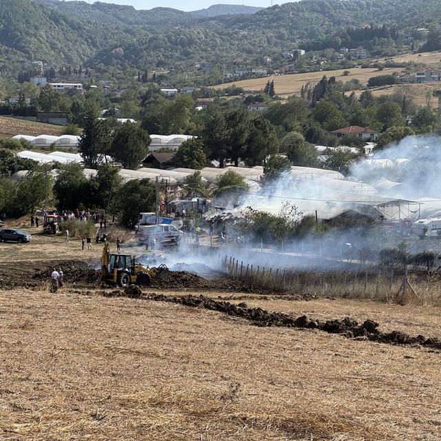 Yalova'da dört noktada çıkan yangınlar kontrol altına alındı