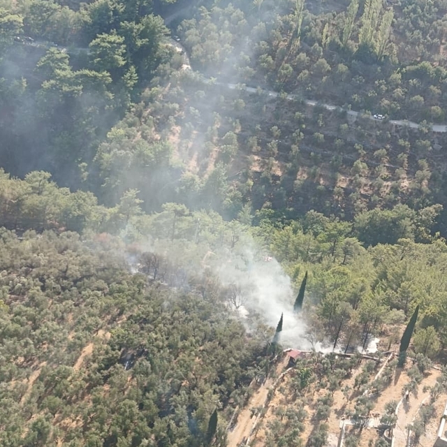 Kazdağları Milli Parkı'nda çıkan orman yangını kontrol altına alındı