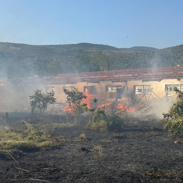 Rüzgarın etkisiyle kopan elektrik telleri yangına neden oldu
