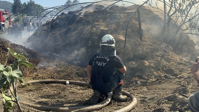 Yalova'da 3 farklı noktada çıkan yangın söndürüldü
