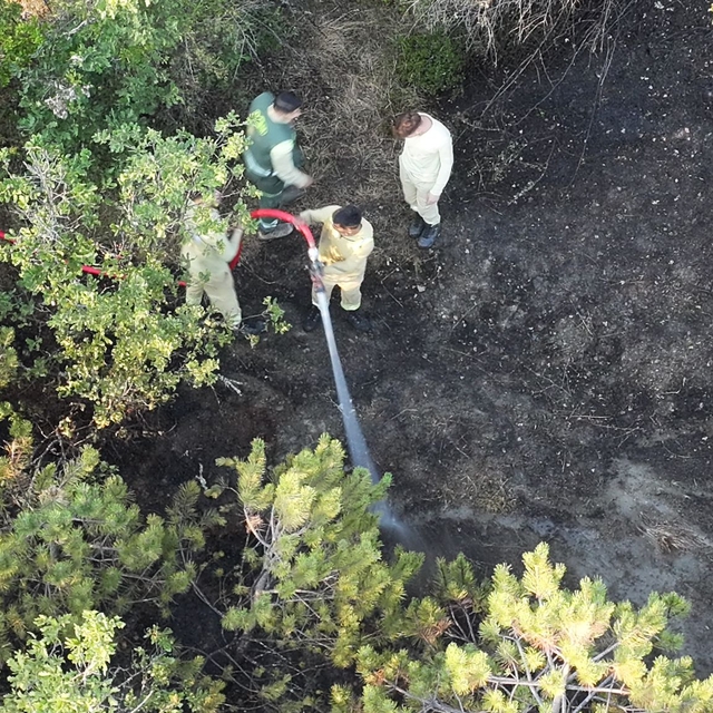 Kastamonu'da çıkan orman yangını söndürüldü