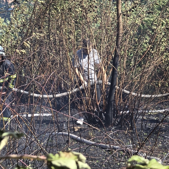 Zonguldak'ta iki noktada çıkan orman yangınları söndürüldü