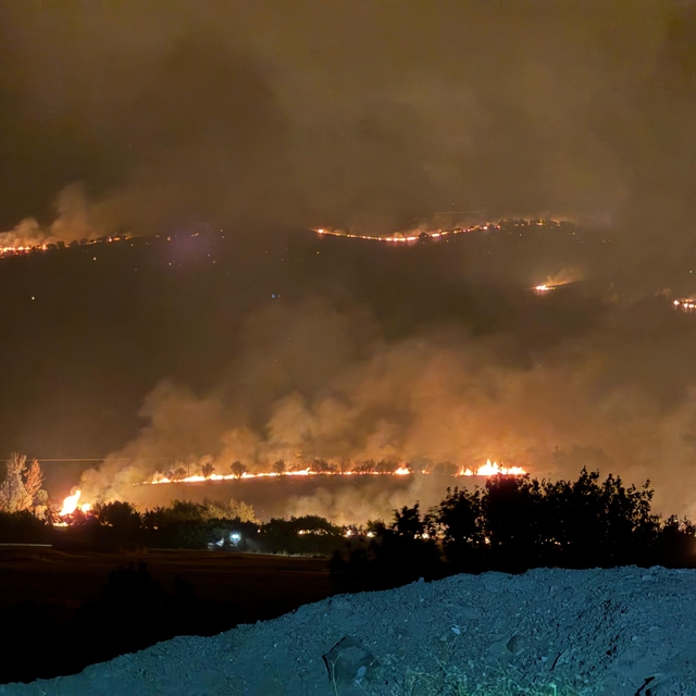 Diyarbakır'da 3 noktada örtü yangını (2)