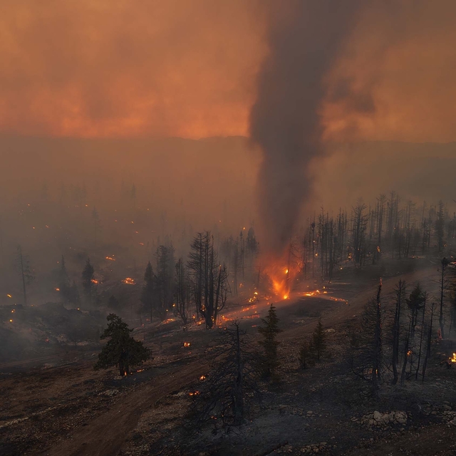Karaman'da orman yangını (3)
