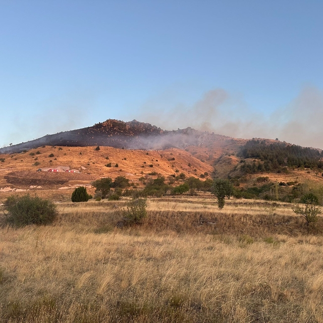 Afyonkarahisar'da çıkan örtü yangınına müdahale ediliyor