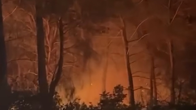 Çanakkale'de orman yangını