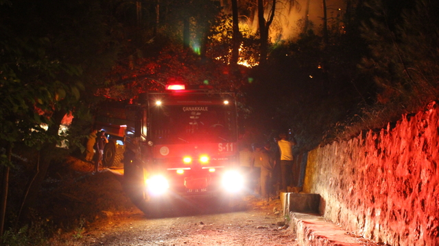 GÜNCELLEME - Çanakkale'de çıkan orman yangınına müdahale ediliyor