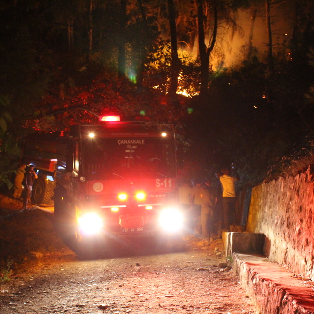 GÜNCELLEME - Çanakkale'de çıkan orman yangınına müdahale ediliyor