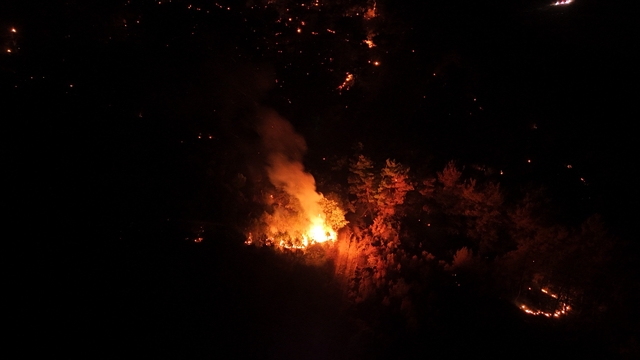 Çanakkale'de orman yangını (2)