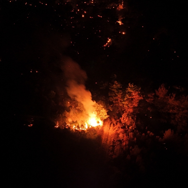 Çanakkale'de orman yangını (2)