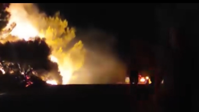 İzmir'de orman yangını