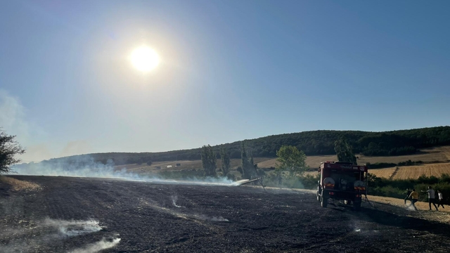 Bilecik'te çıkan anız yangını söndürüldü