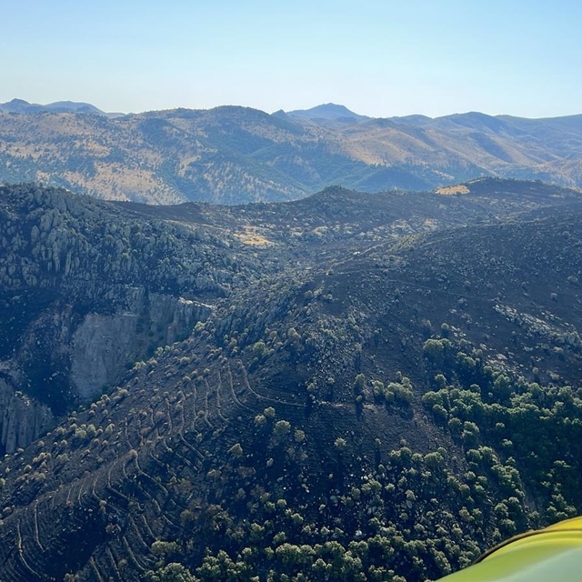 Afyonkarahisar'da çıkan örtü yangını kontrol altına alındı
